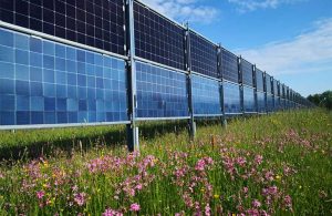 Biodiversität mit bunter Blumenwiese neben Agri-PV Solarmodulen