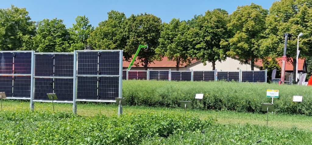 Next2Sun vertikale photovoltaik