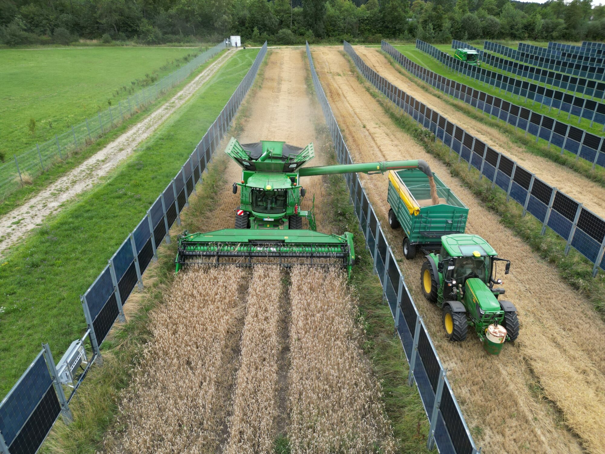 Ernte zwischen Agri-PV Modulen