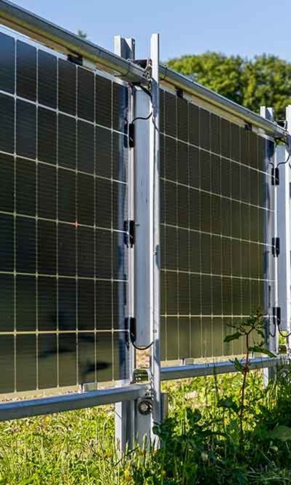 Solarmodul-Zaun-Next2Sun-Unternehmen.jpg